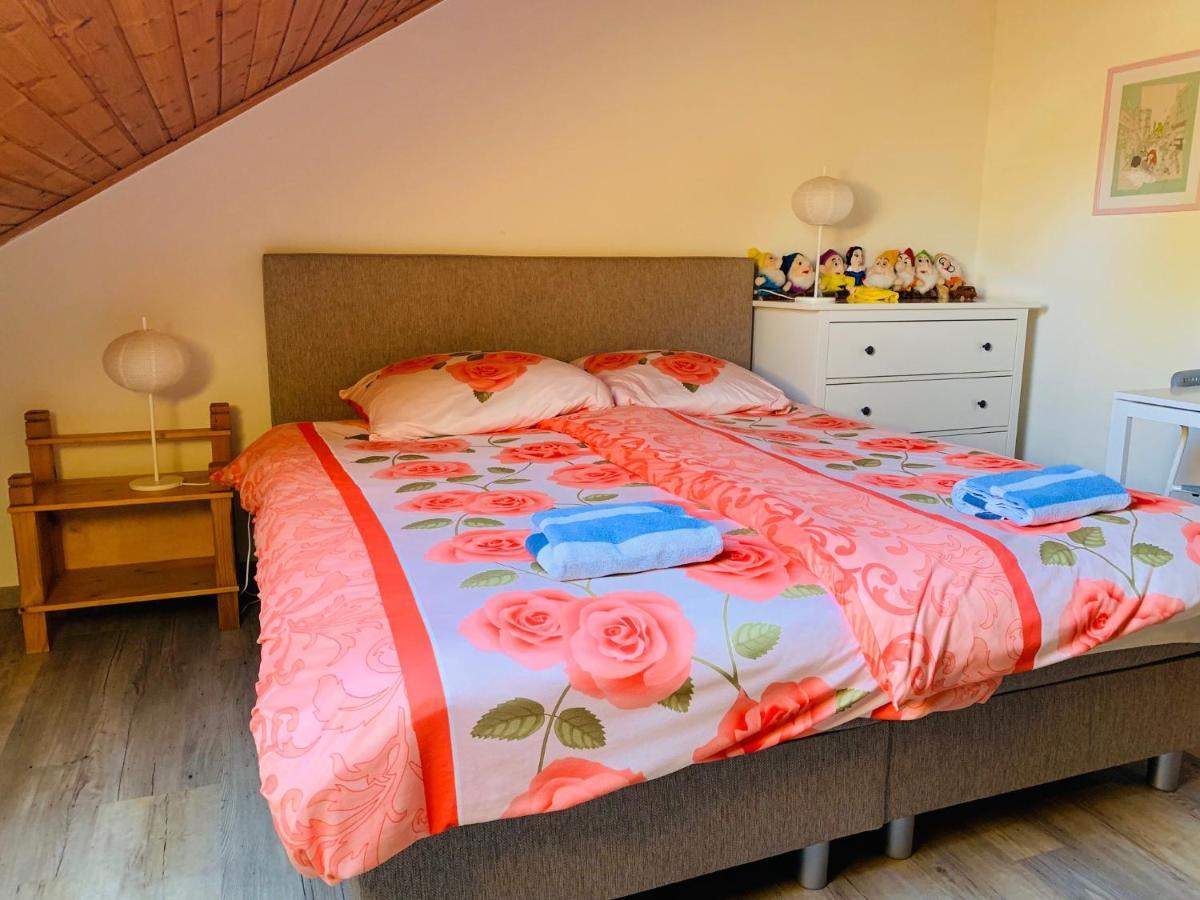B&B Oostkapelle Aan Zee エクステリア 写真